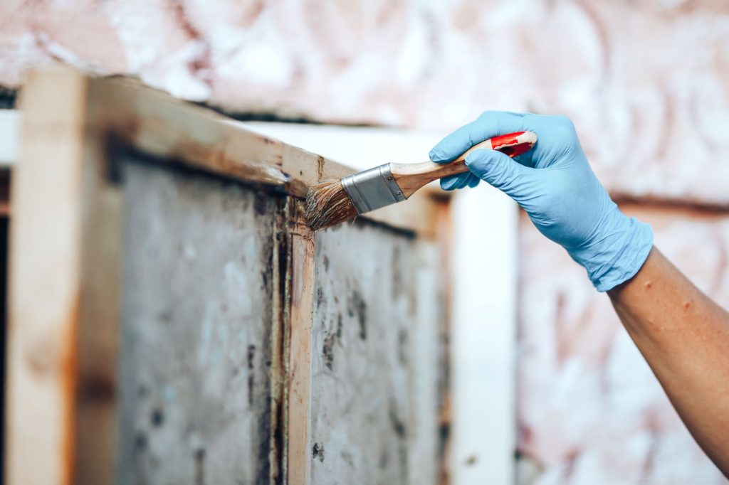 hand holding a brush applying varnish paint on a w 2026 03 18 17 42 46 utc1