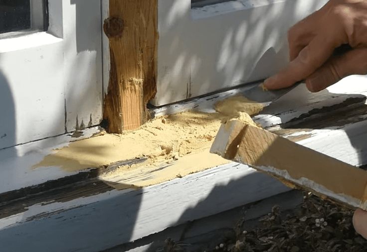 What Is Wood Rot?